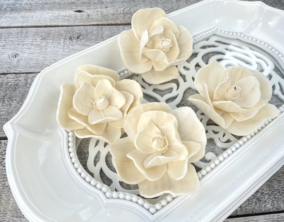 Sola Wood Flowers - Maddi - Luv Sola Flowers