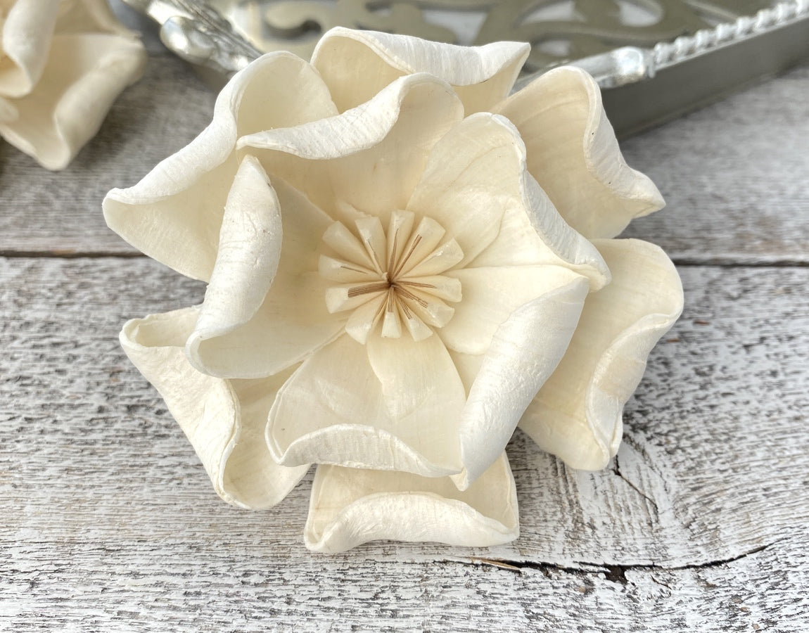 Sola Wood Flowers - Magnolia - Luv Sola Flowers