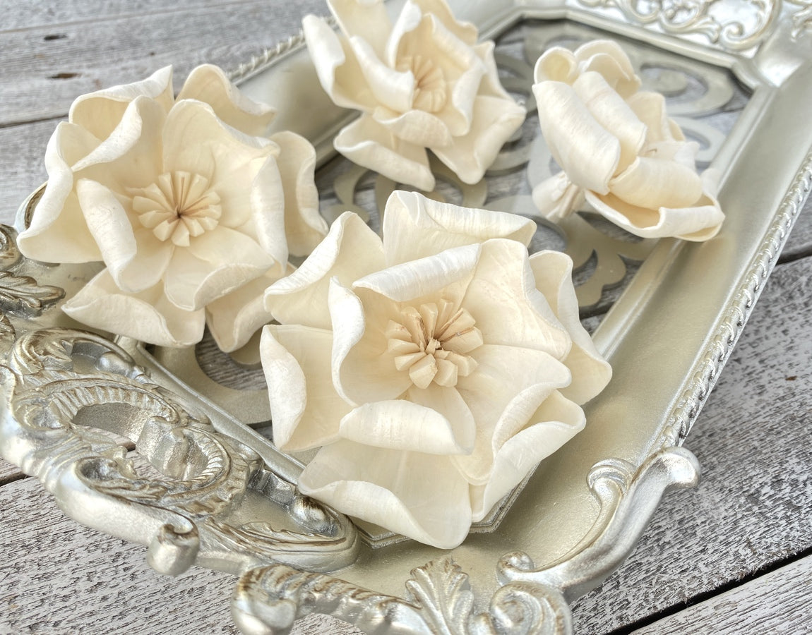 Sola Wood Flowers - Magnolia - Luv Sola Flowers