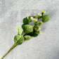 Meadow Thistle - Luv Sola Flowers - Faux Filler