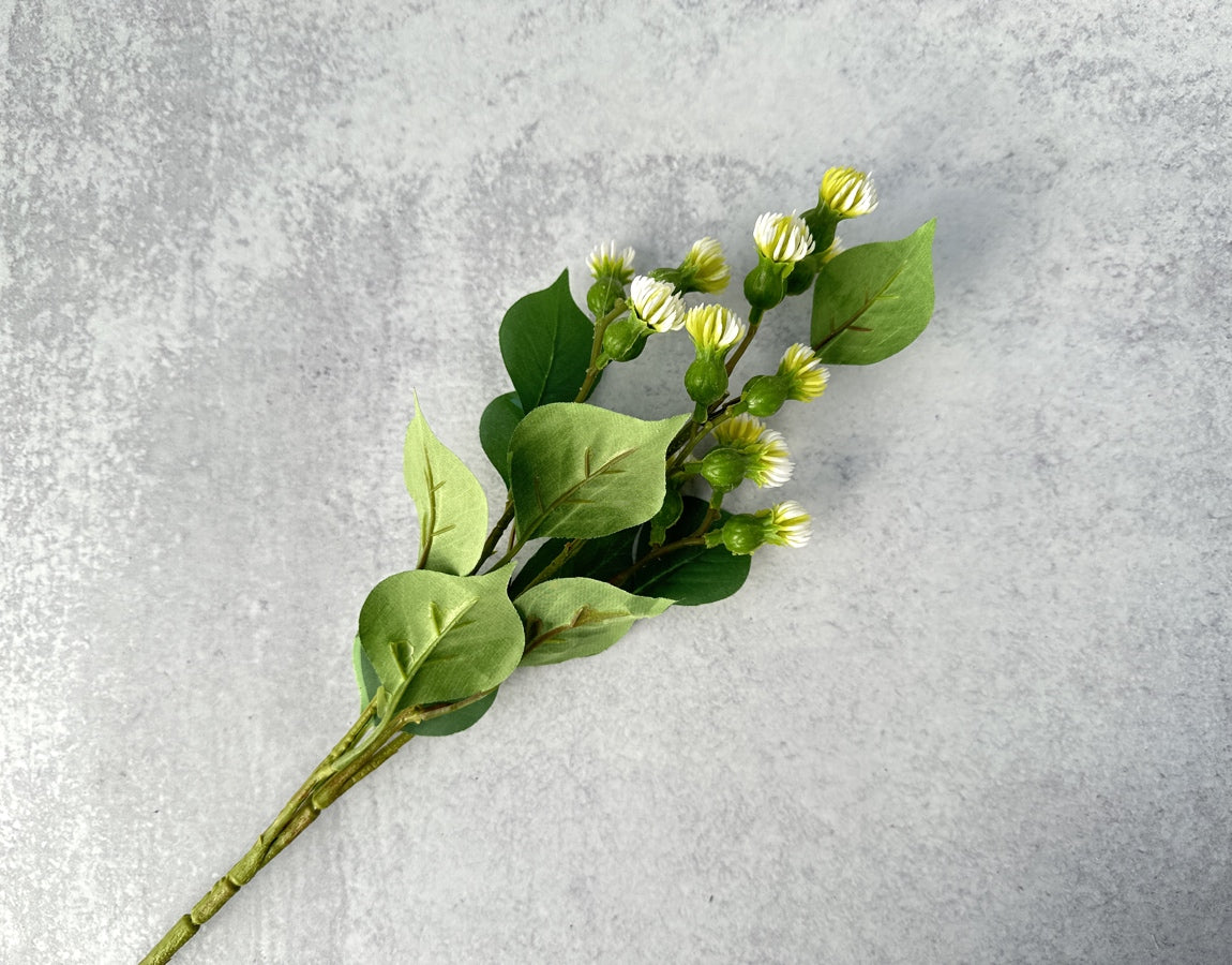 Meadow Thistle - Luv Sola Flowers - Faux Filler