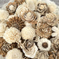 Sola Wood Flowers - Mixed Random Assortment - Luv Sola Flowers