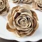 Sola Wood Flowers - Mixed New Beauty