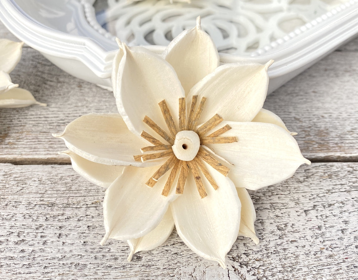 Sola Wood Flowers - Mona - Luv Sola Flowers
