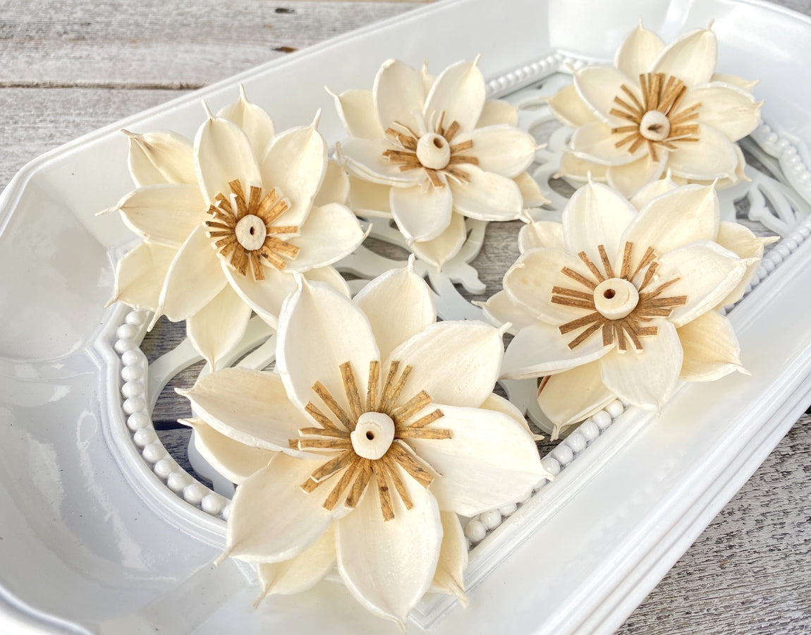 Sola Wood Flowers - Mona - Luv Sola Flowers