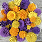 Sola Wood Flowers - Mother's Day Assortment - Luv Sola Flowers
