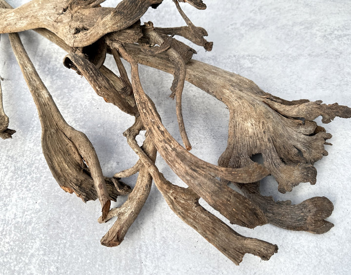 Nataraj Natural - Luv Sola Flowers - Dried Botanicals