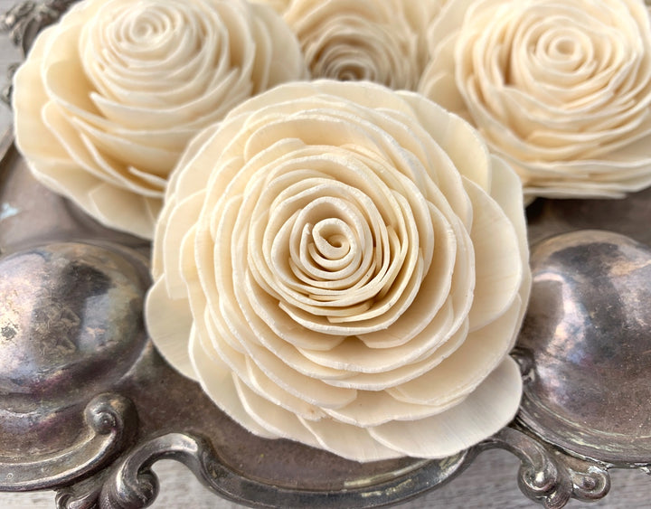 Sola Wood Flowers - New Beauty - Luv Sola Flowers