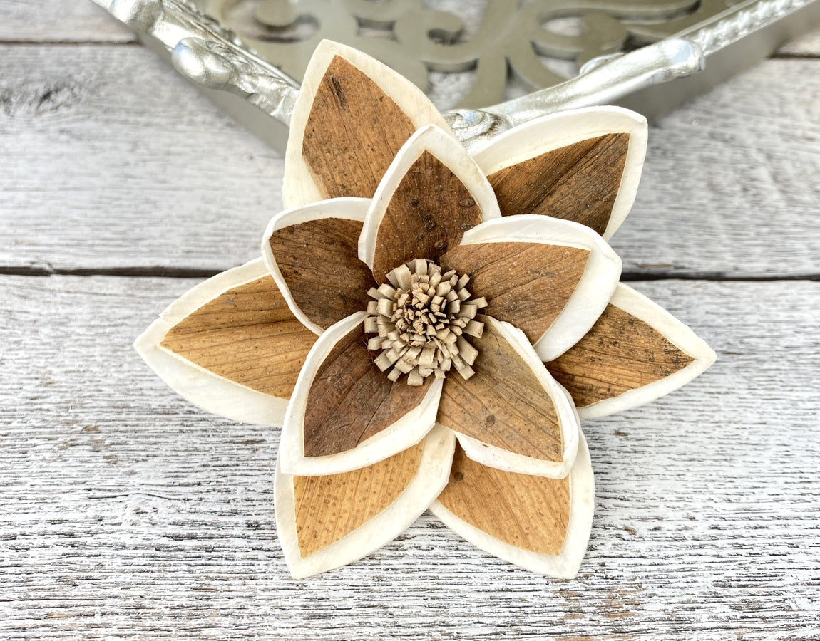Sola Wood Flowers - Oliver - Luv Sola Flowers