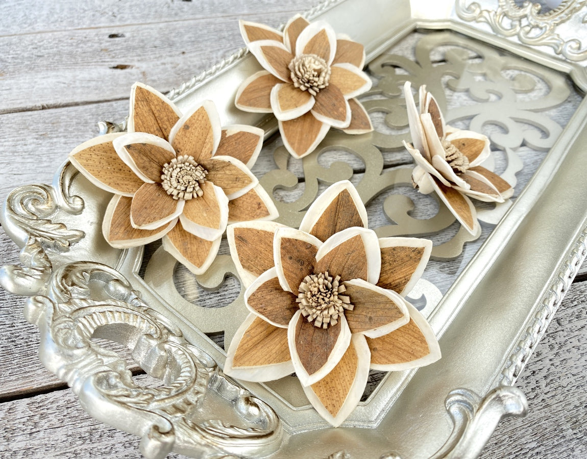 Sola Wood Flowers - Oliver - Luv Sola Flowers
