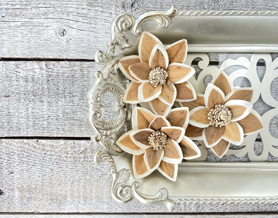 Sola Wood Flowers - Oliver - Luv Sola Flowers