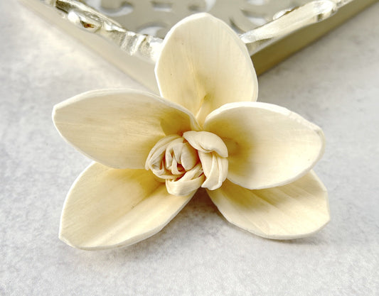 Sola Wood Flowers - Orchid - Luv Sola Flowers