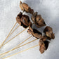 Palm Cap - Luv Sola Flowers - Dried Botanicals