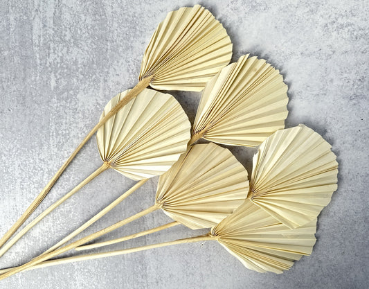 Palm Spear Round Cut Bleached - Luv Sola Flowers - Dried Botanicals