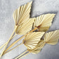 Palm Spear Bleached - Luv Sola Flowers - Dried Botanicals