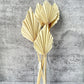 Palm Spear Bleached - Luv Sola Flowers - Dried Botanicals