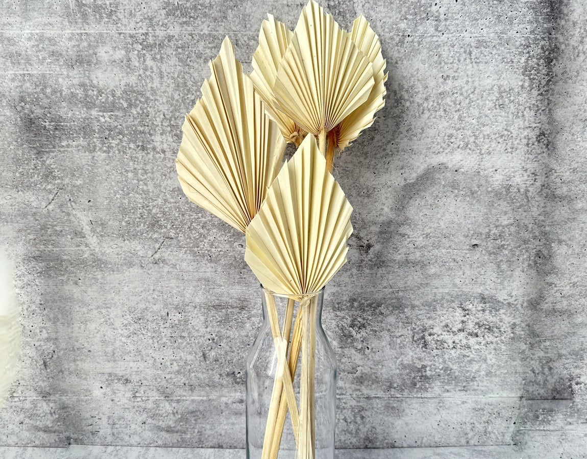 Palm Spear Bleached - Luv Sola Flowers - Dried Botanicals