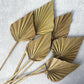 Palm Spear Natural - Luv Sola Flowers - Dried Botanicals