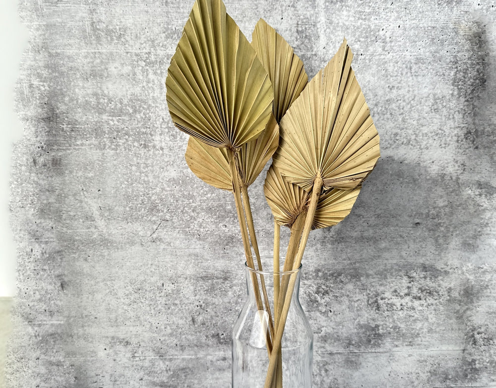 Palm Spear Natural - Luv Sola Flowers - Dried Botanicals