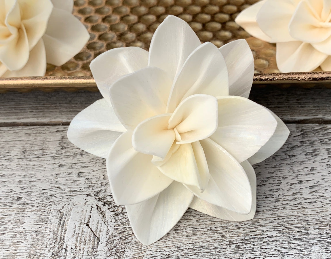 Sola Wood Flowers - Paris
