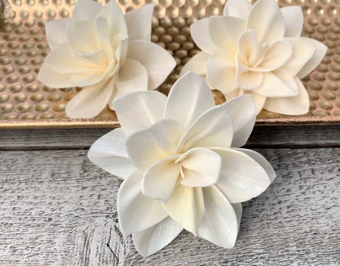 Sola Wood Flowers - Paris