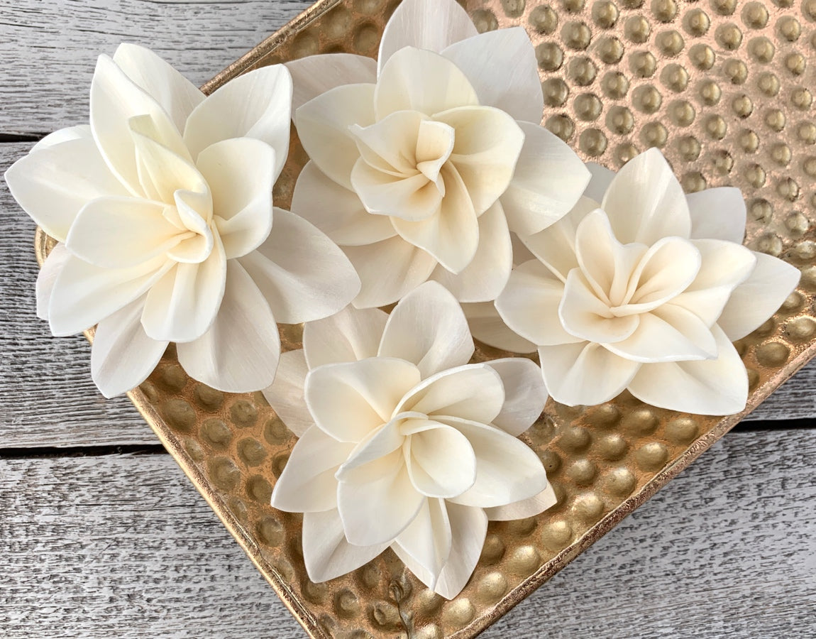 Sola Wood Flowers - Paris