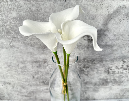 Real Touch Calla Lily - Luv Sola Flowers - Faux Filler