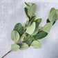 Red Stem Seeded Populus Eucalyptus Faux - Luv Sola Flowers - Faux Filler