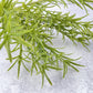 Rosemary Pick Faux - Luv Sola Flowers - Faux Filler