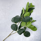Round Ficus Stem Faux - Luv Sola Flowers - Faux Filler