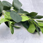 Round Ficus Stem Faux - Luv Sola Flowers - Faux Filler
