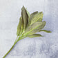Sage Leaf Faux - Luv Sola Flowers - Faux Filler
