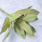 Sage Leaf Faux - Luv Sola Flowers - Faux Filler