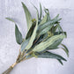 Seeded Willow Eucalyptus Bush Faux - Luv Sola Flowers - Faux Filler