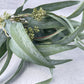 Seeded Willow Eucalyptus Bush Faux - Luv Sola Flowers - Faux Filler