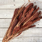 Setaria - Luv Sola Flowers - Filler