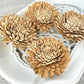 Sola Wood Flowers - Skin Zinnia - Luv Sola Flowers