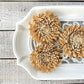Sola Wood Flowers - Skin Zinnia - Luv Sola Flowers
