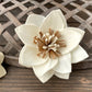 Sola Wood Flowers - Stardust