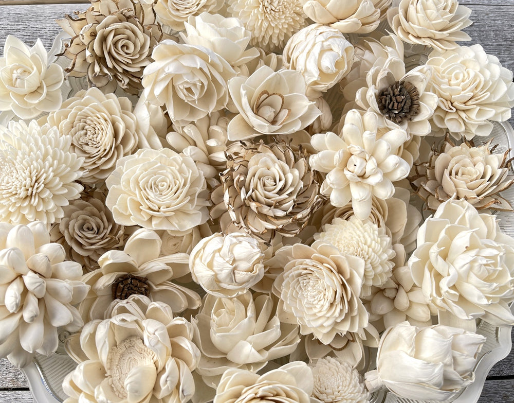 Sola Wood Flowers - Succulent Random Assortment - Luv Sola Flowers