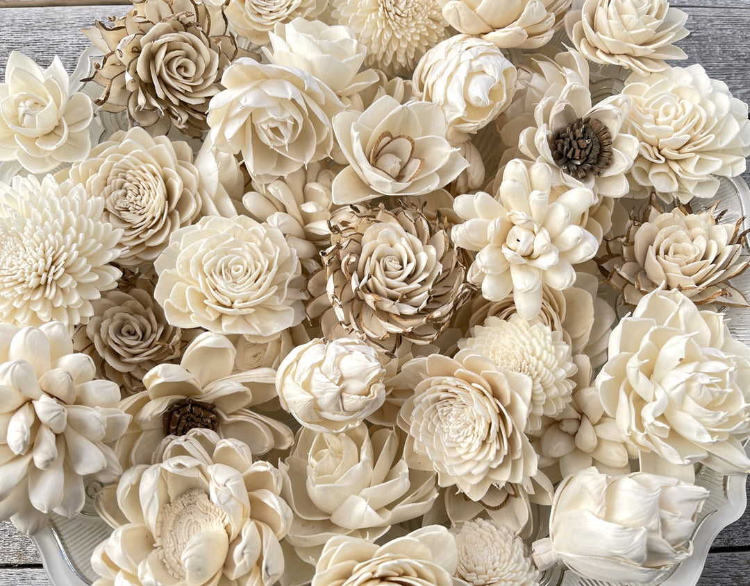 Sola Wood Flowers - Succulent Random Assortment - Luv Sola Flowers