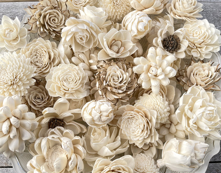 Sola Wood Flowers - Succulent Random Assortment - Luv Sola Flowers