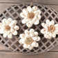 Sola Wood Flowers - Sunburst