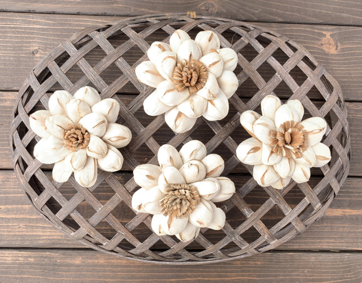 Sola Wood Flowers - Sunburst