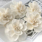 Sola Wood Flowers - Sweet Juliet - Luv Sola Flowers