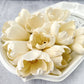 Sola Wood Flowers - Classic Tulip - Luv Sola Flowers