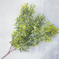 Two Toned Rosemary Bush Faux - Luv Sola Flowers - Faux Filler