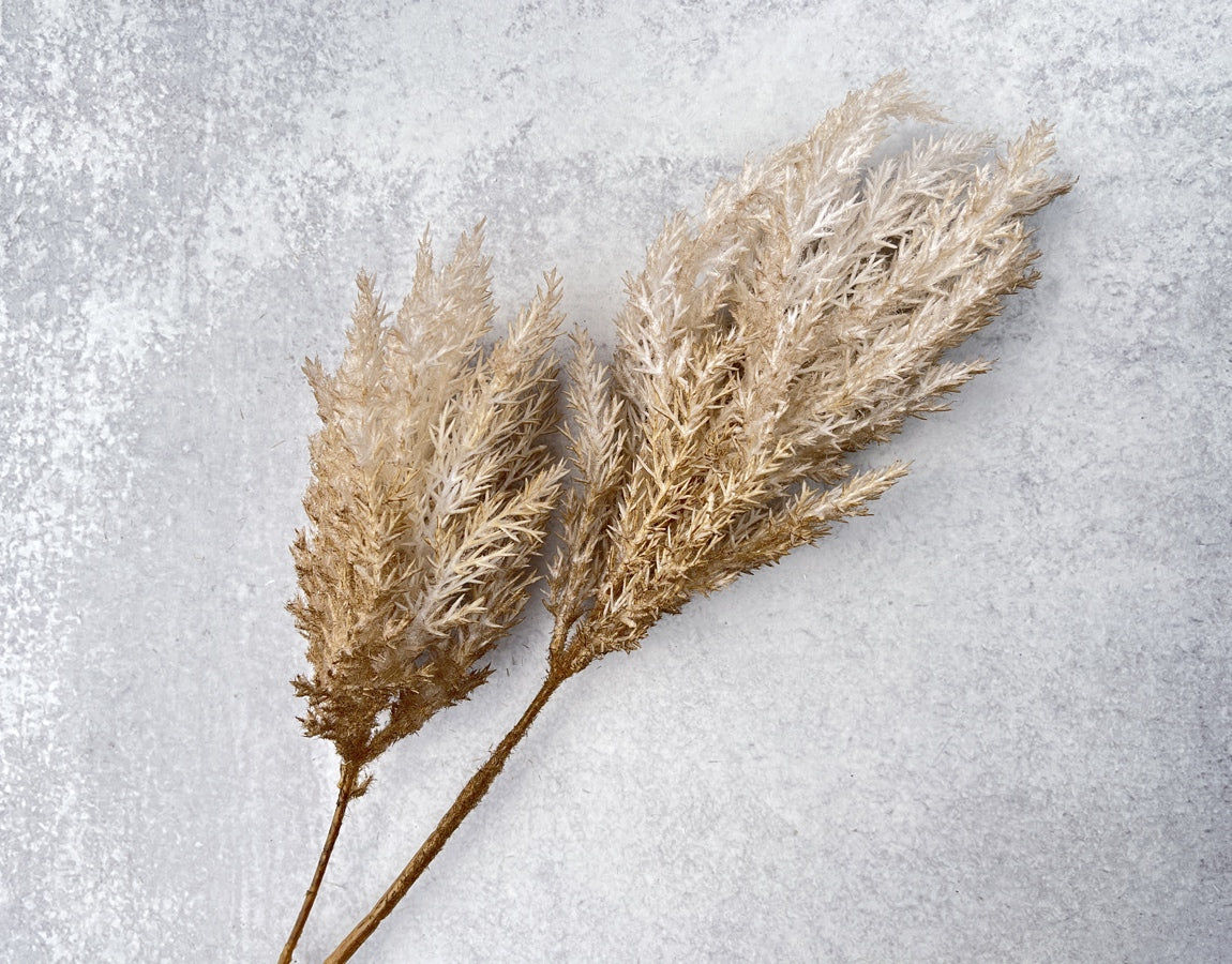 Two-Toned Reed Plumes - Luv Sola Flowers - Faux Filler