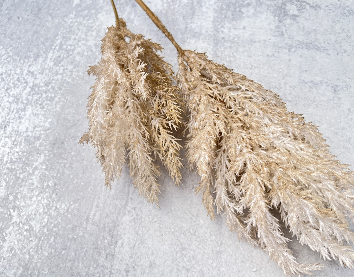 Two-Toned Reed Plumes - Luv Sola Flowers - Faux Filler