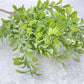 Veined Boxwood Bush Faux - Luv Sola Flowers - Faux Filler